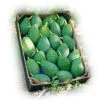 ccomprar-caja-aguacate-hass-nacional