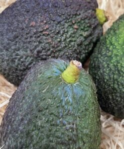 Aguacate Lamb Hass - 1 Kg / 2,5 Kg / 4 Kg
