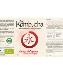 bio-kombucha-frutas-1l-vidrio (1)