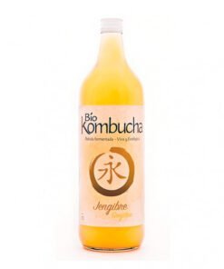 bio-kombucha-jengibre-1l-vidrio (1)