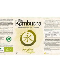 bio-kombucha-jengibre-1l-vidrio