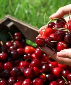 comprar-cerezas-online
