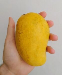 comprar-mango-ataulfo