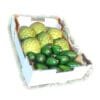 caja-aguacate-chirimoya