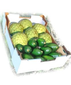 caja-aguacate-chirimoya