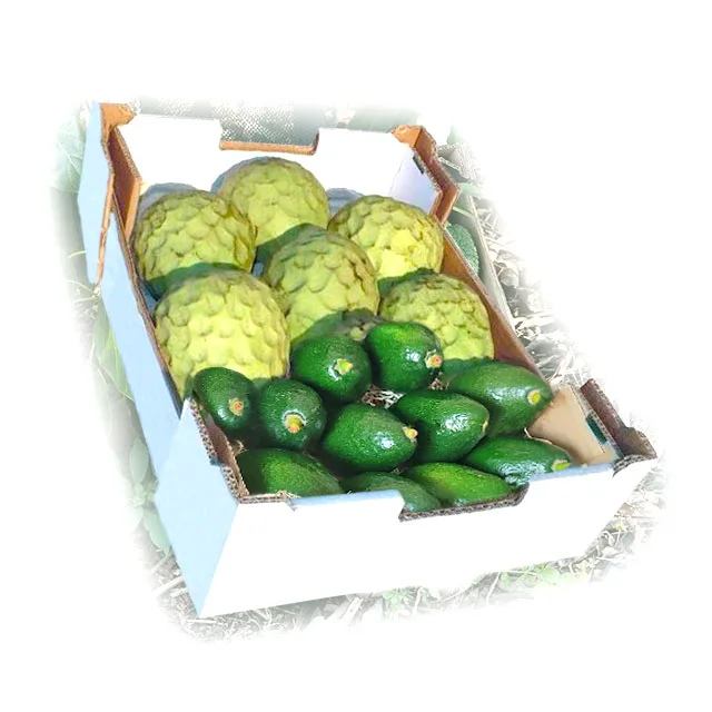 caja-aguacate-chirimoya