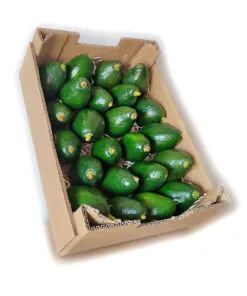 caja-aguacate-bacon