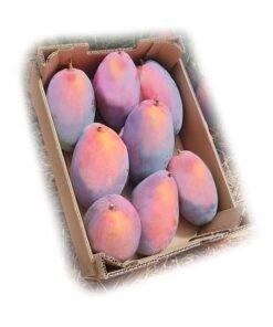 caja_osteen_comprar