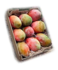 COMPRAR_MANGO_KEITT