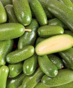 COMPRAR_AGUACATE_COCKTAIL