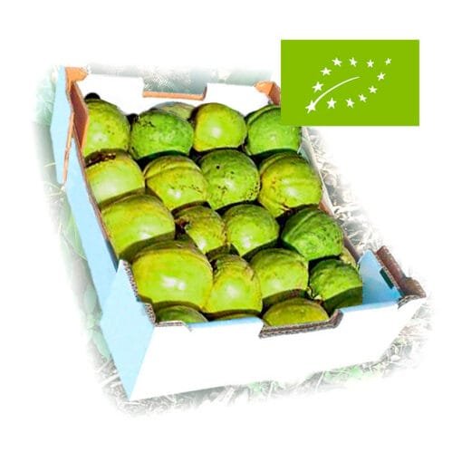 comprar_guayaba_eco