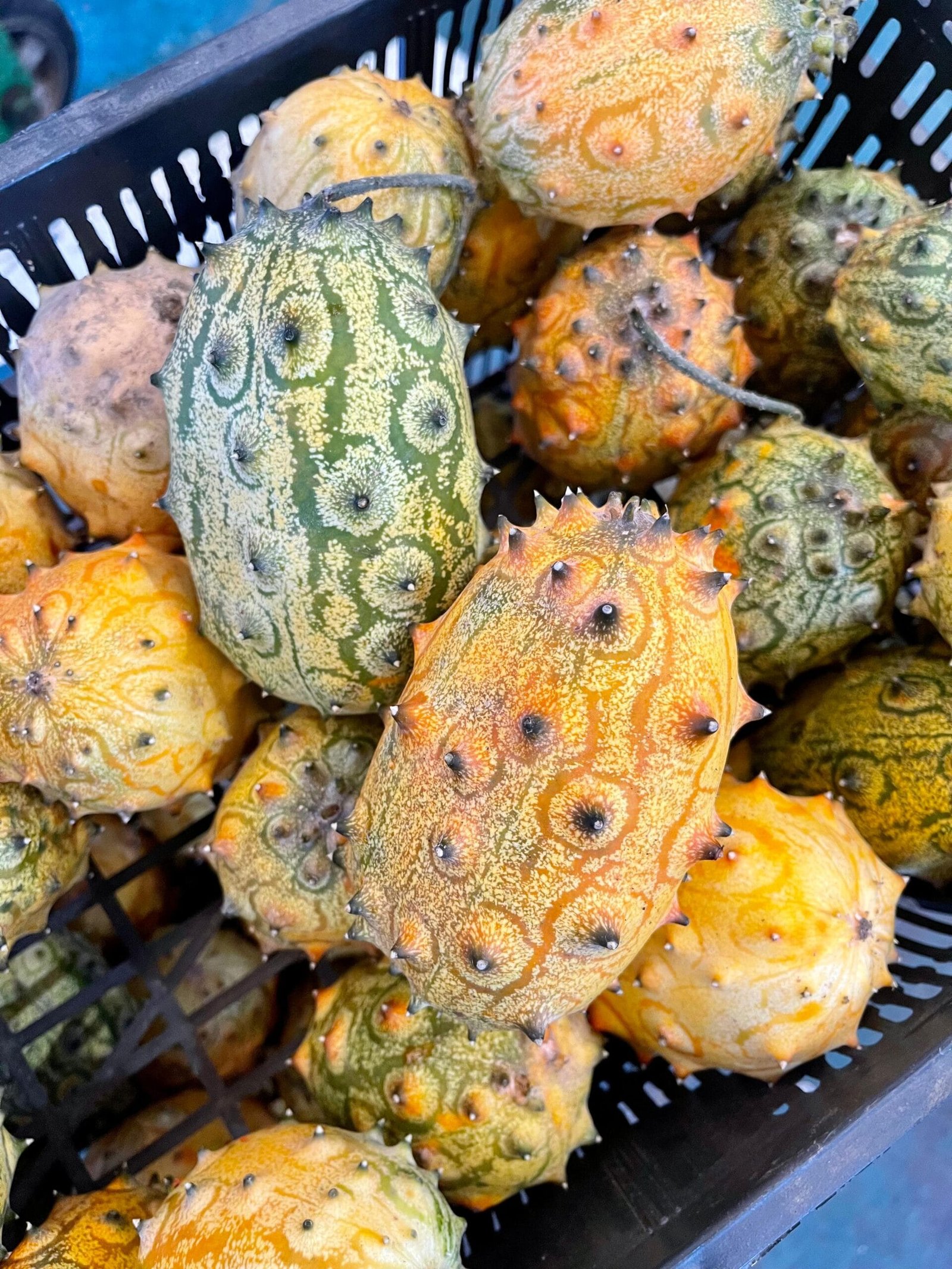 Caja de Kiwano - 1 Kg - 2,5 Kg - 4 Kg