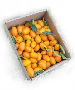 comprar-kumquat