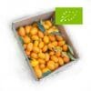 comprar-kumquat-eco