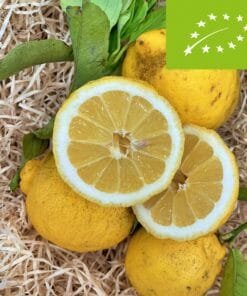 Limón Extra BIO - 1 Kg / 2,5 Kg / 4 Kg