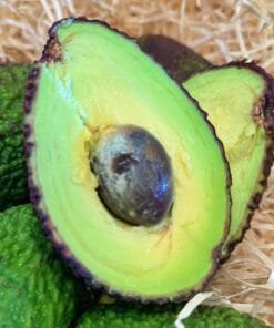 Aguacate Hass Mediano/Pequeño - 1 Kg / 2,5 Kg / 4 Kg