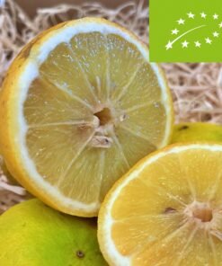 Bergamota BIO - 1 Kg / 2,5 Kg / 4 Kg