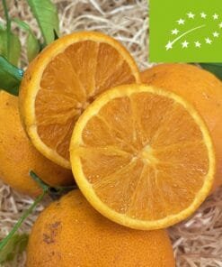 Naranja BIO - 1 Kg / 2,5 Kg / 4 Kg