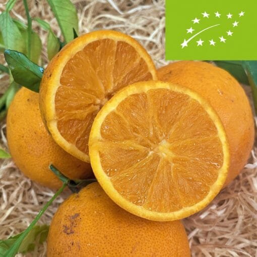 Naranja BIO - 1 Kg / 2,5 Kg / 4 Kg