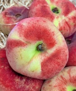 Paraguaya - 1 Kg / 2,5 Kg / 4 Kg