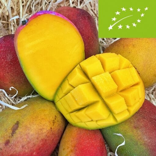 Mango Irwin BIO - 1 Kg / 2,5 Kg / 4 Kg