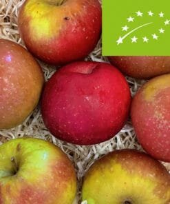 Manzana Fuji BIO - 1 Kg / 2,5 Kg / 4 Kg