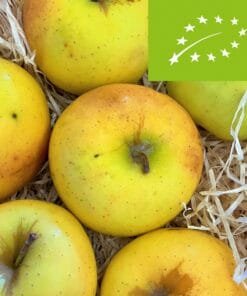 Manzana Golden BIO - 1 Kg / 2,5 Kg / 4 Kg