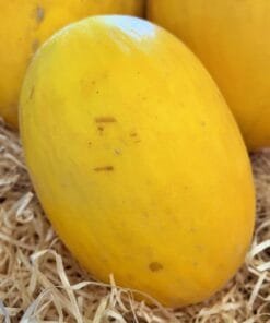 Melón Amarillo Canario - 1 Ud. / 6 Uds. / 18 Uds.