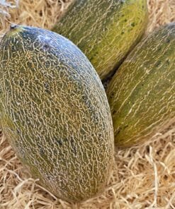 Melón Piel de Sapo - 1 Ud. / 6 Uds. / 18 Uds.