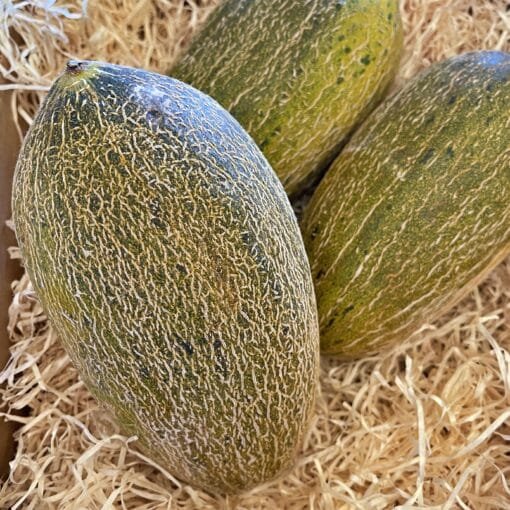 Melón Piel de Sapo - 1 Ud. / 6 Uds. / 18 Uds.