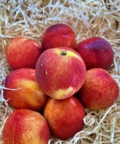 Nectarina - 1 Kg / 2,5 Kg / 4 Kg