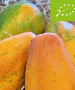 Papaya Sweet Sense BIO - 1 Kg / 2,5 Kg / 4 Kg