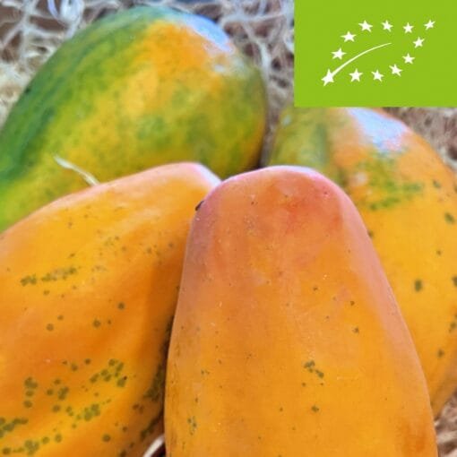 Papaya Sweet Sense BIO - 1 Kg / 2,5 Kg / 4 Kg