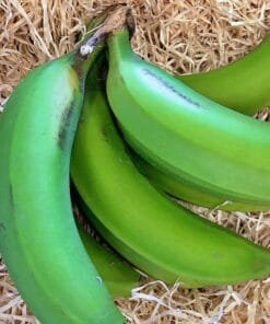 Plátano Cavendish - 1 Kg / 2,5 Kg / 4 Kg