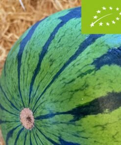 Sandía BIO - 1 Ud. / 6 Uds. / 18 Uds.