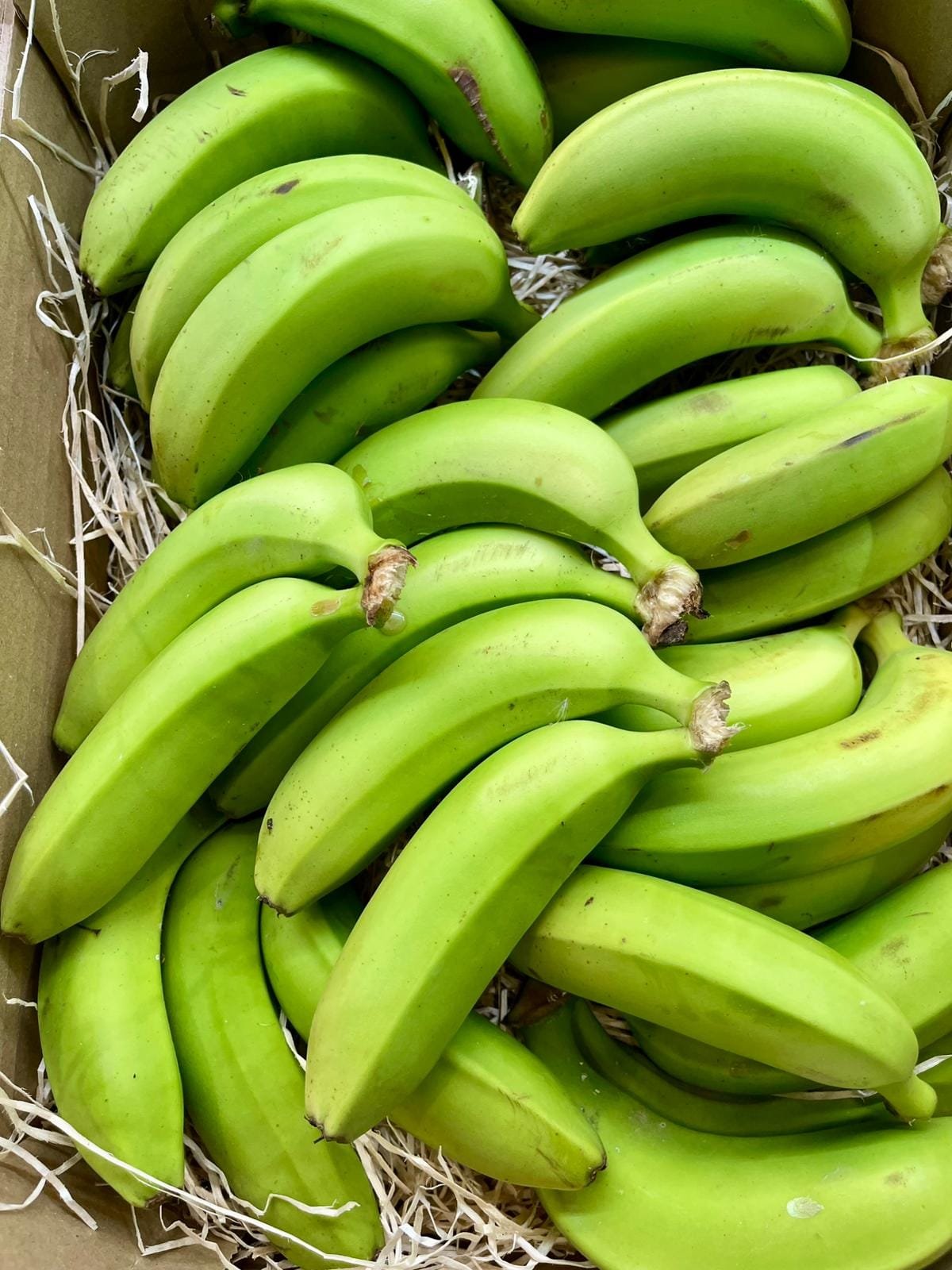 Plátano Cavendish - 1 Kg / 2,5 Kg / 4 Kg - Imagen 5