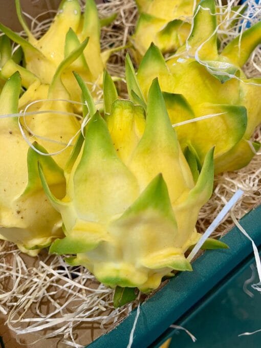 Pitahaya Amarilla - 1 Kg / 2,5 Kg / 4 Kg