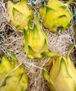 comprar_pitahaya_amarilla