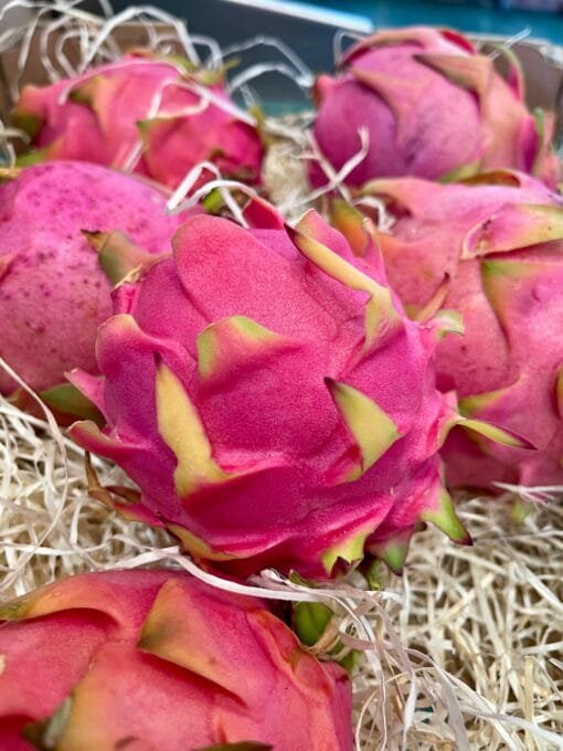 Pitahaya - 1 Kg / 2,5 Kg / 4 Kg
