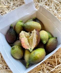 Lima Caviar - 200 GRS. / 500 GRS. / 1 Kg