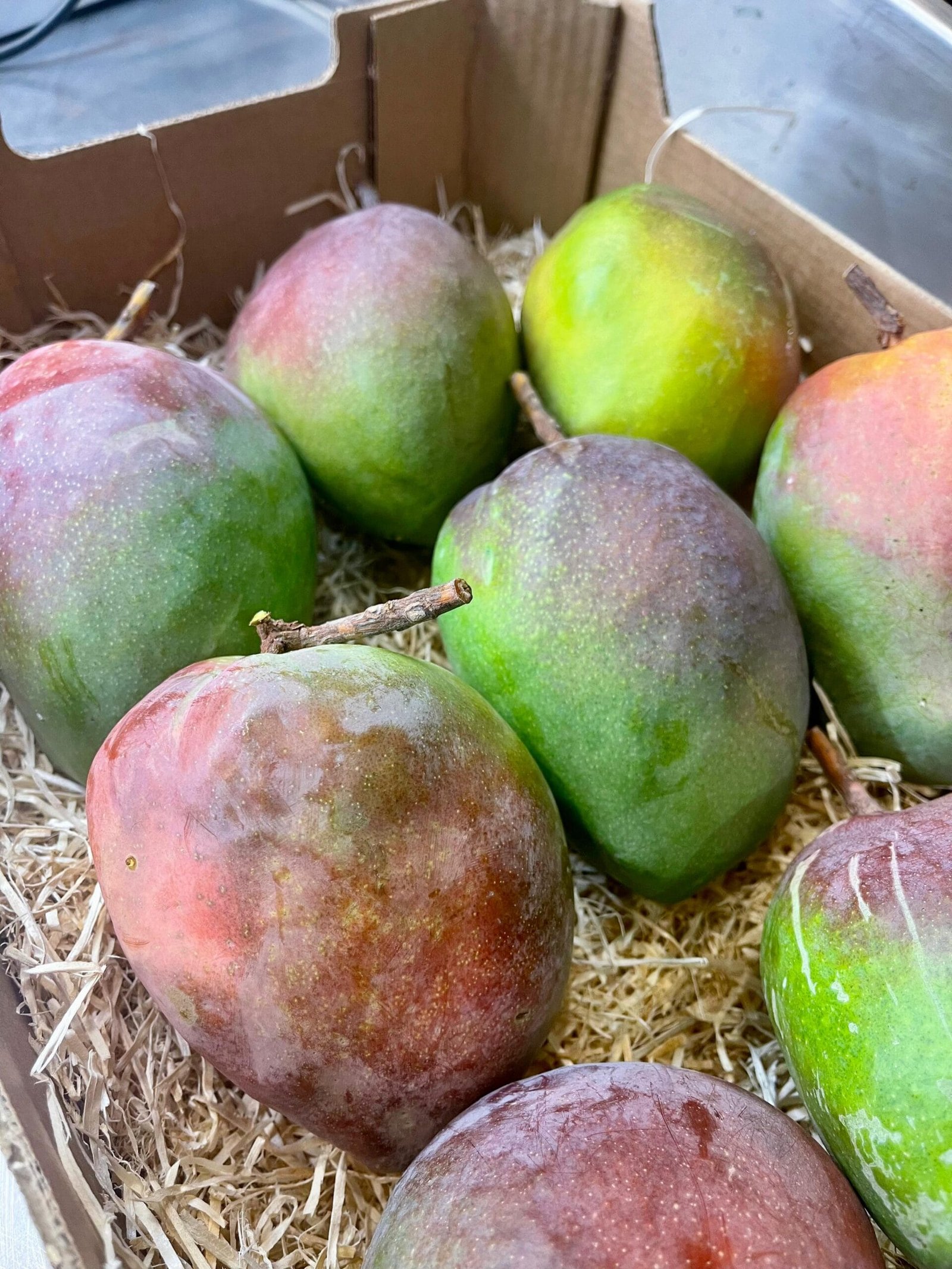 Caja Mango Zill - 1 Kg / 2,5 Kg / 4 Kg - Imagen 2