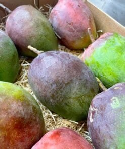 Caja Mango Zill - 1 Kg / 2,5 Kg / 4 Kg