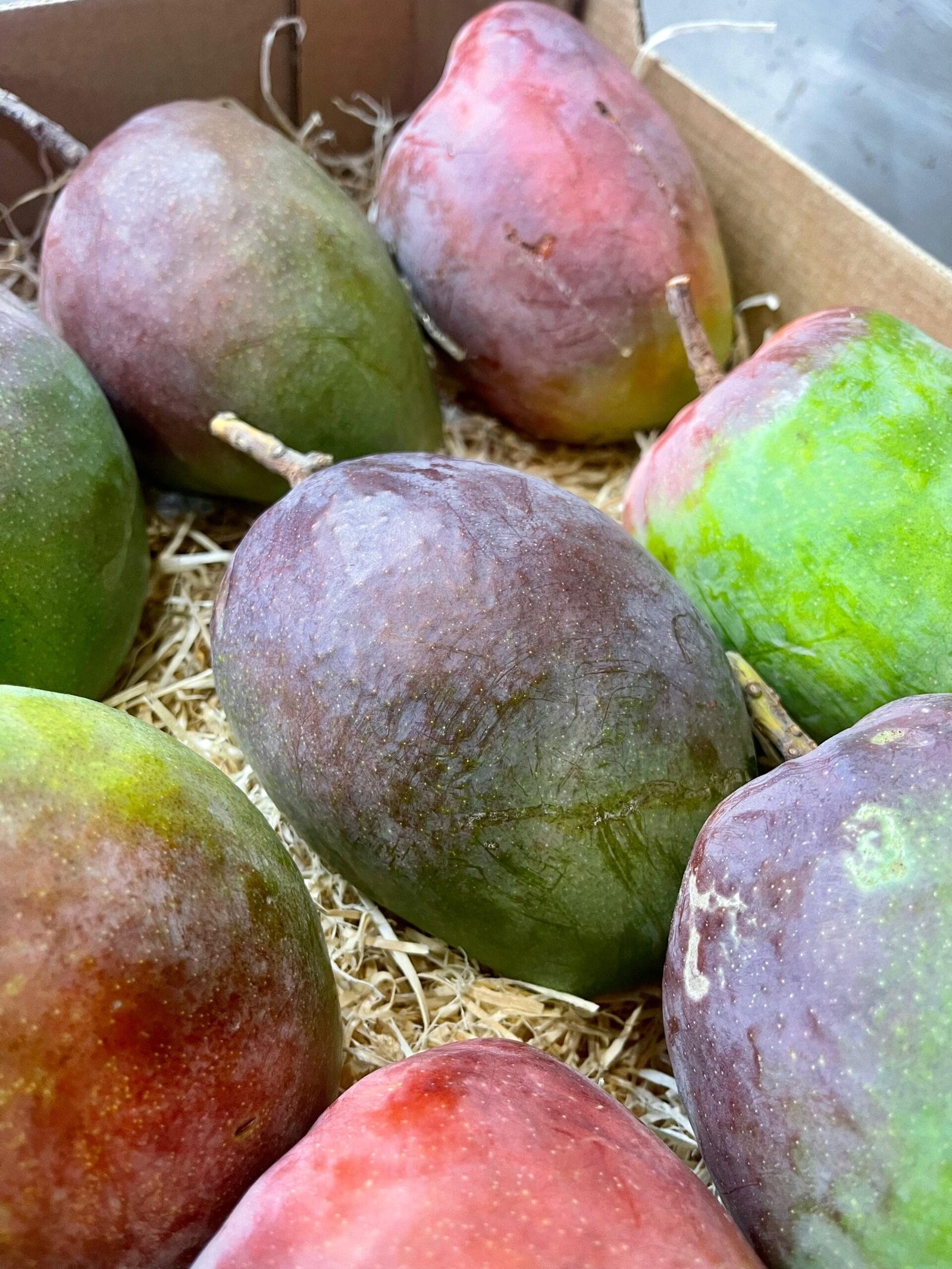 Caja Mango Zill - 1 Kg / 2,5 Kg / 4 Kg