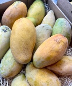 Caja Mango Francis - 1 Kg / 2,5 Kg / 4 Kg