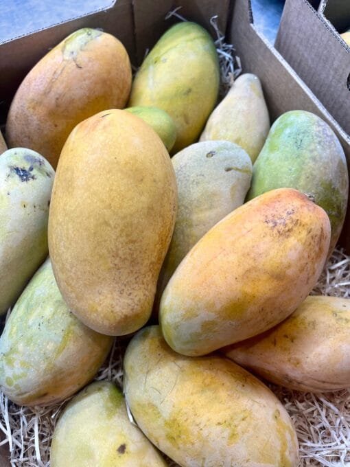 Caja Mango Francis - 1 Kg / 2,5 Kg / 4 Kg