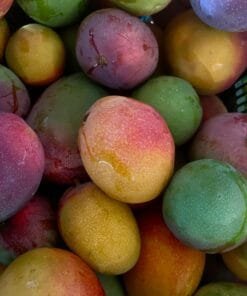 Caja Mango Haden - 1 Kg / 2,5 Kg / 4 Kg