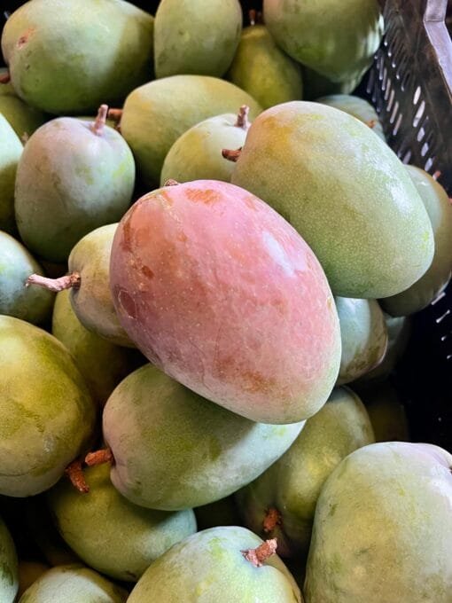 Caja Mango Glen - 1 Kg / 2,5 Kg / 4 Kg