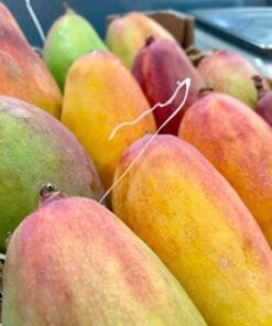 Caja Mango Valencia Pride - 1 Kg / 2,5 Kg / 4 Kg