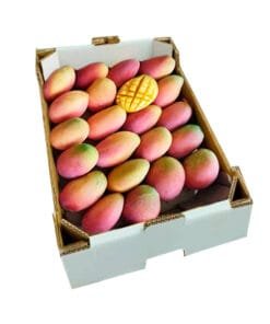 caja-irwin-comprar