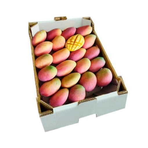 caja-irwin-comprar